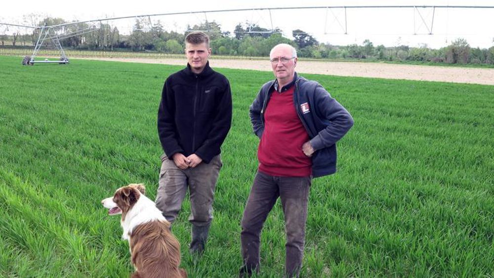 Paul (à gauche) et Louis Coste, agriculteurs à Saint-Thibéry (Hérault), ont dû revoir leur assolement au dernier moment pour faire face à la diminution des contrats en maïs semence. © F. Ehrhard